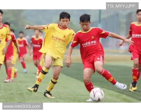 退役足球明星的生活转型与职业生涯对比分析